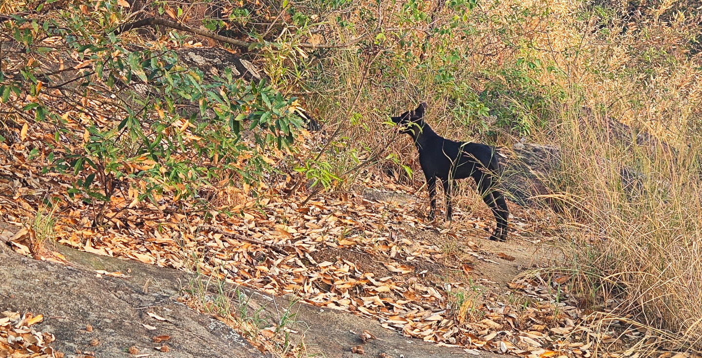 image-20250909210705980