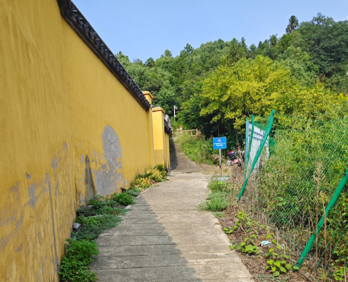 image-20250909211231544